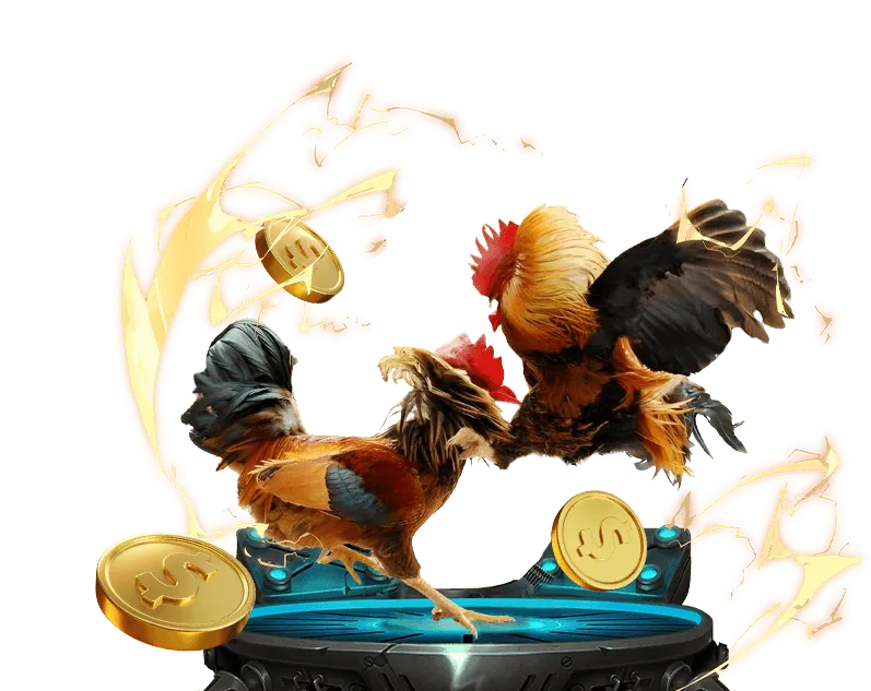 Trải nghiệm xem đá gà chất lượng cao